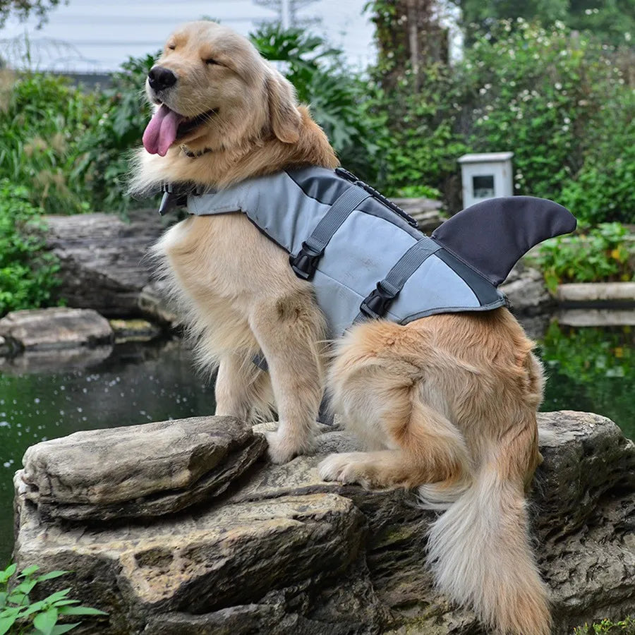 Shark dog life jacket discount