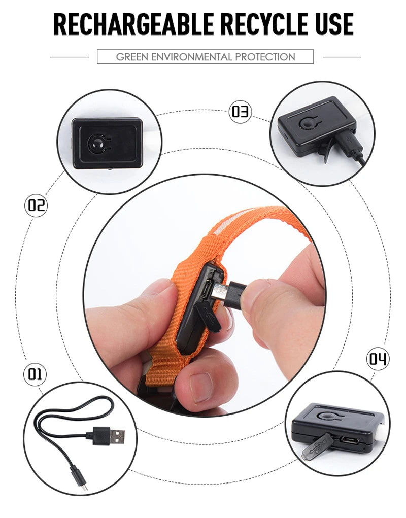 LED Light Up Collar for Dogs and Cats