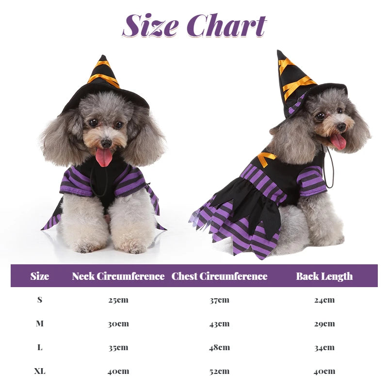 Purple Pet Witches dress and hat