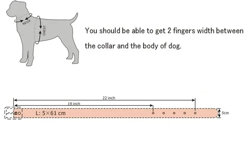 Skull Rivet Pet Adjustable Collar