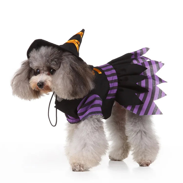 Purple Pet Witches dress and hat