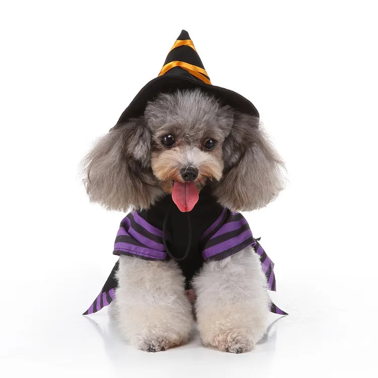 Purple Pet Witches dress and hat
