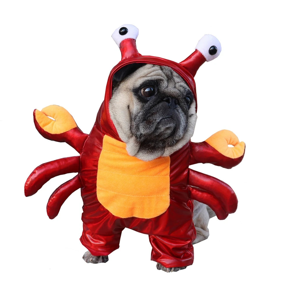 Pet Crab Halloween costume