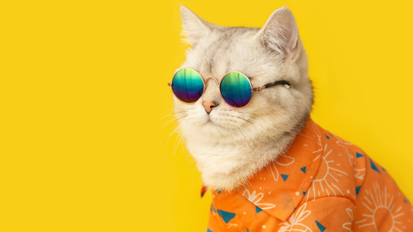 Sunglasses for Small Dogs & Cat