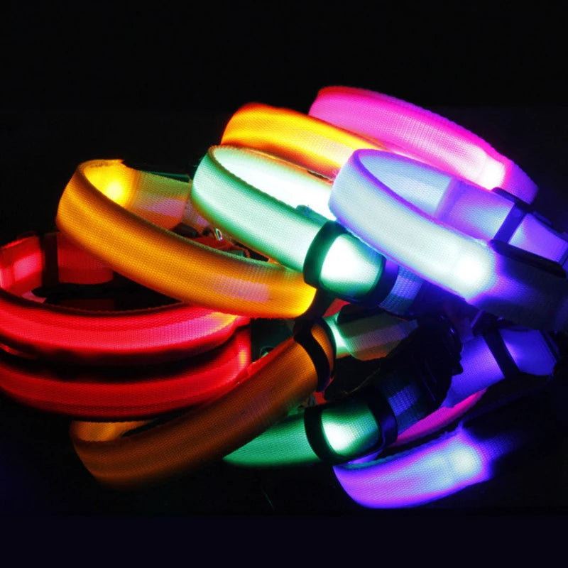 LED Light Up Collar for Dogs and Cats