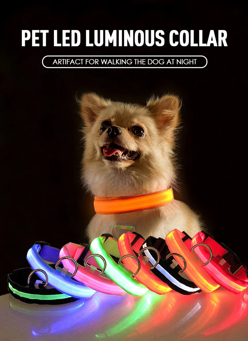 LED Light Up Collar for Dogs and Cats