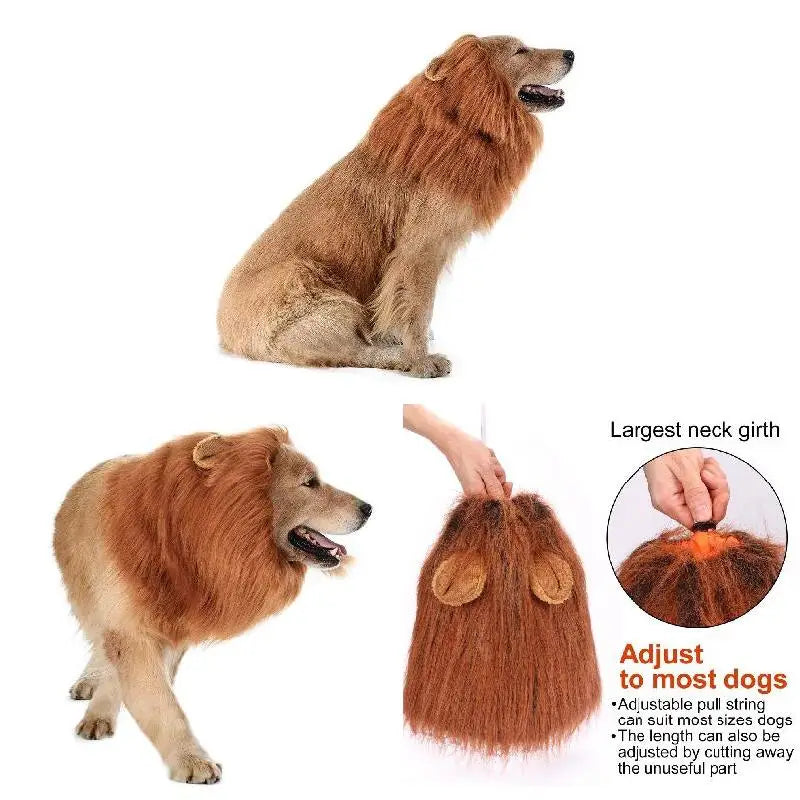 Dog Lion Mane Costume