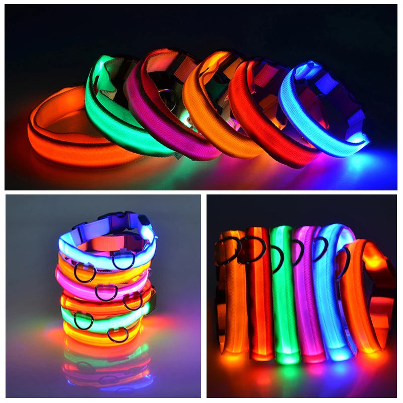 LED Light Up Collar for Dogs and Cats