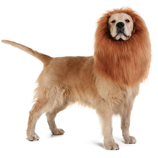 Dog Lion Mane Costume