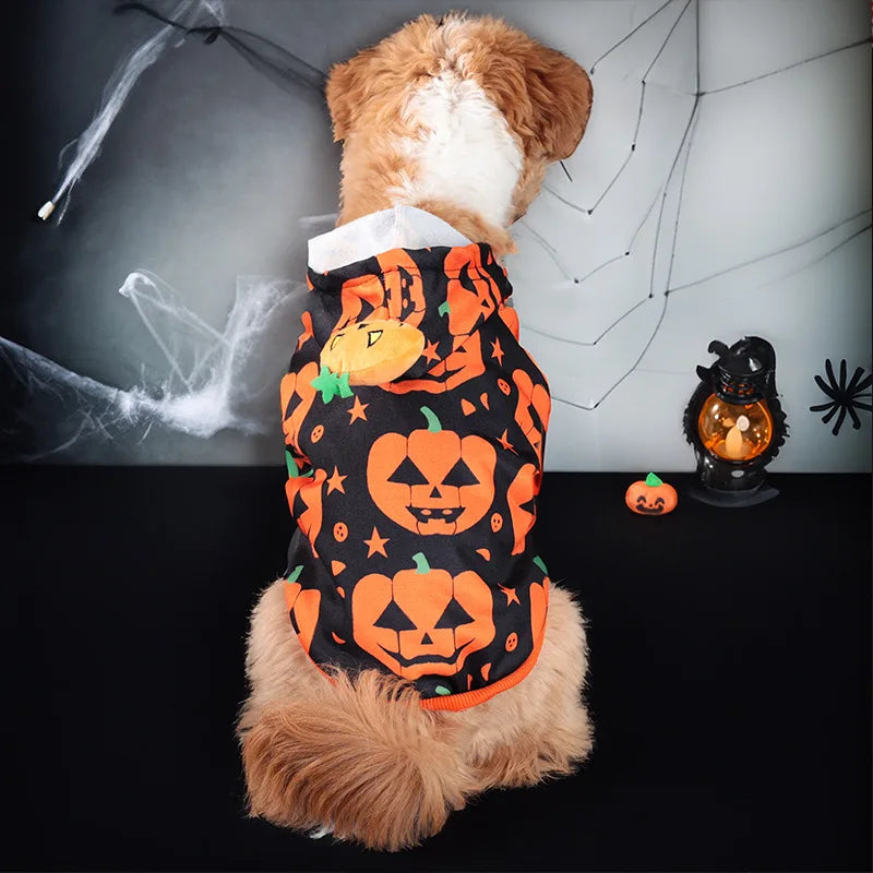 Halloween Pumpkin Hoodie