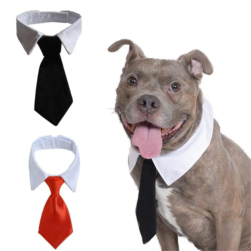 Pet Formal Necktie for Dog & Cat