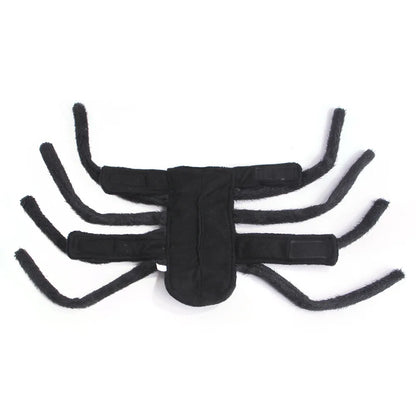 Halloween Spider Costume for Small Medium-sized