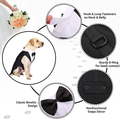 Black Wedding Tuxedo for Dogs and Cats