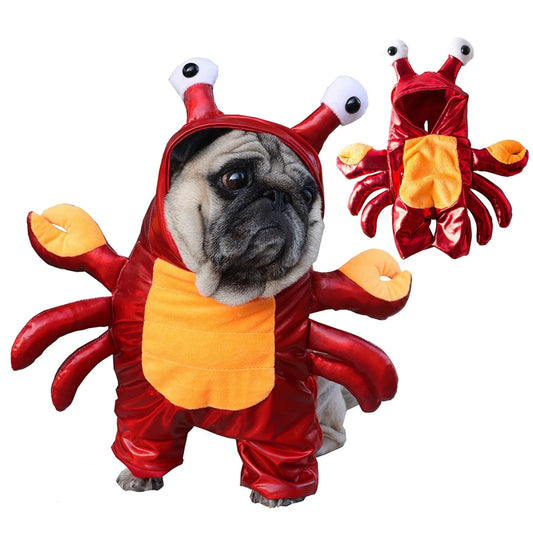 Pet Crab Halloween costume