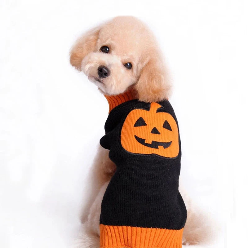 Halloween Dog Pumpkin Knitted Jumper