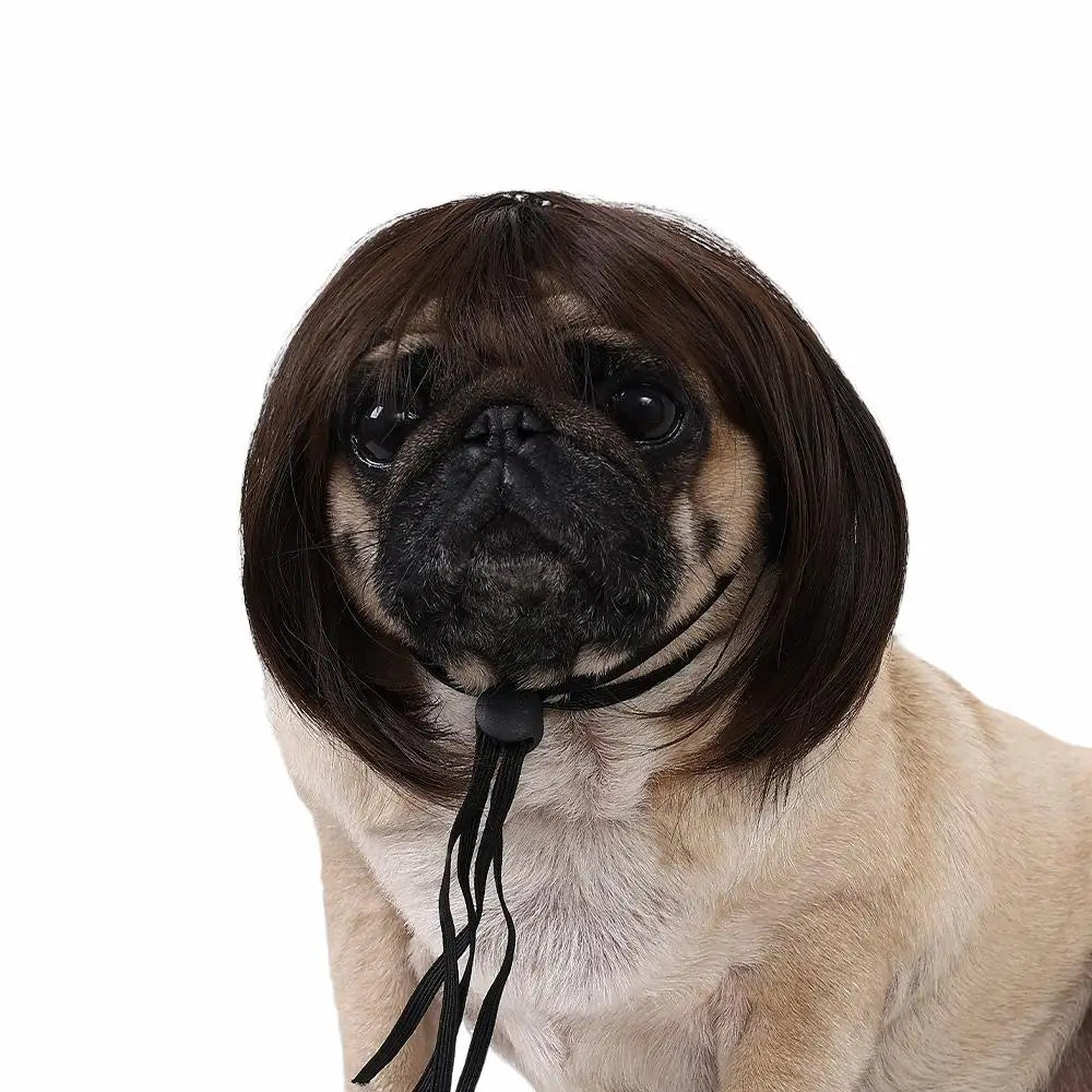 Party Funny Pet Wig