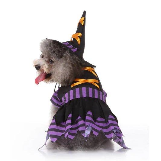 Purple Pet Witches dress and hat