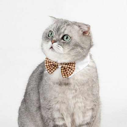 Bowtie for Cat & Dog Bow