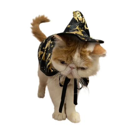 Halloween Gold wizard cloak and hat