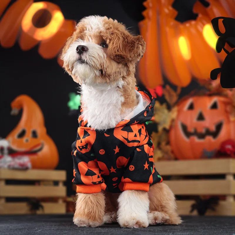 Halloween Pumpkin Hoodie