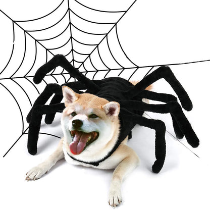 Halloween Spider Costume for Small Medium-sized