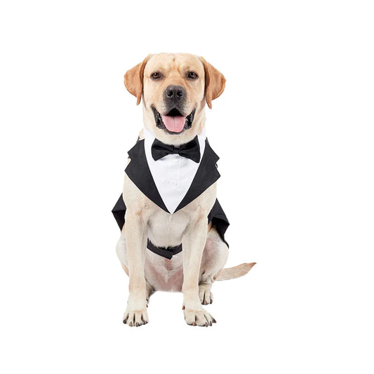 Black Wedding Tuxedo for Dogs and Cats