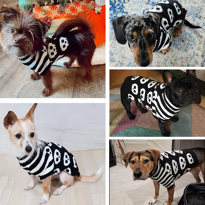 Halloween Dog Skull Knitted Jumper