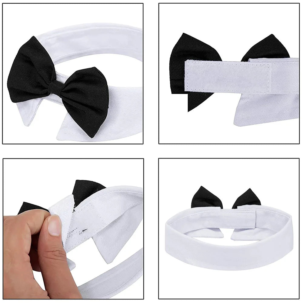 Bowtie for Cat & Dog Bow